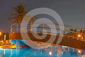 Swimming pool, night and palm trees