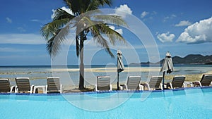 Swimming pool with palm tree near the sea on Koh Samui.