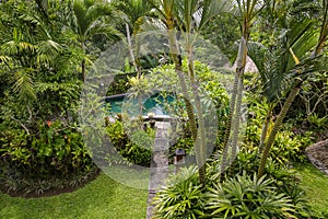 Swimming pool and palm tree in tropical garden. Bali, Ubud, Indonesia