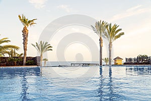 Swimming pool with palm tree and view of the ocean in a resort