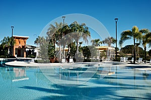 Swimming Pool, Palm Trees, and Florida Sunshine