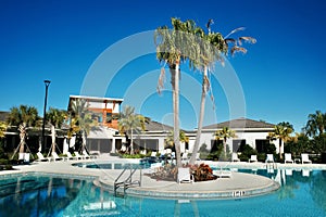 Swimming Pool, Palm Trees, and Florida Sunshine