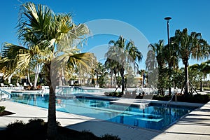 Swimming Pool, Palm Trees, and Florida Sunshine