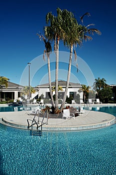 Swimming Pool, Palm Trees, and Florida Sunshine