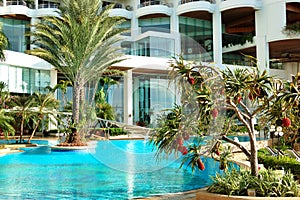 Swimming pool and palm trees at the luxury hotel