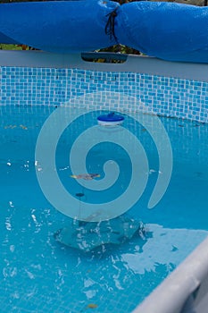 A swimming pool robot vacuum is in the dirty water of the swimming pool