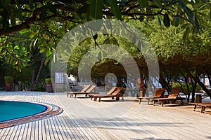 Swimming pool side of luxury hotel ith deck chairs, palm trees and blue ocean. Maldives