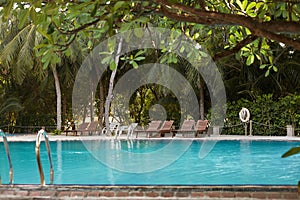 Swimming pool side of luxury hotel ith deck chairs, palm trees and blue ocean. Maldives