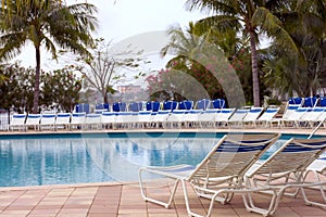 Swimming pool and sun loungers