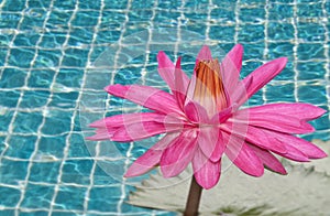 Swimming pool texture background.