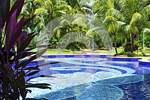 Swimming pool in a tropical garden, decorated with Coconut trees, shrubs, green grass lawn and blurred red leafs of Draceana Palm