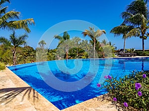 A swimming pool in a tropical garden in Sosua photo