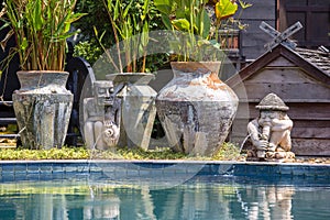 Swimming pool in tropical garden, Thailand