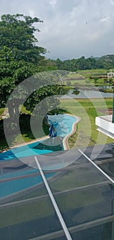 swimming pool under shady trees