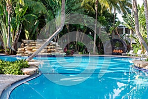 Tropical Paradise Swimming Pool and Waterfall