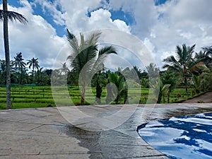 the swimming pool which looks basically fresh blue with views of green rice fields and a bright sky background and white clouds