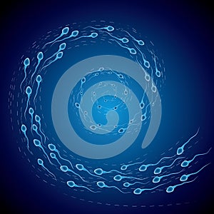 Swimming sperm,Form the shape of the swirl.
