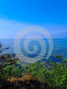 Swimming on SUP board on Pucka Bay. Poland photo