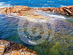 Swimming Underwater, Tidal Rock Pool