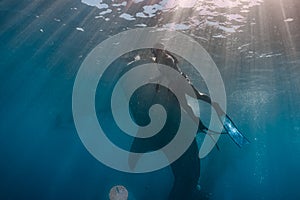 Swimming with whaleshark