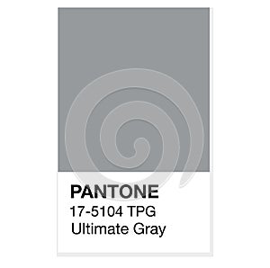 SWINDON UK - DECEMBER 20 2020: Pantone Ultimate Gray Trending Color of the Year 2021. Color pattern vector illustration