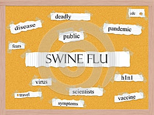 Swine Flu Corkboard Word Concept