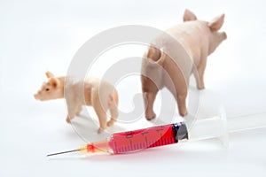 Swine flu A H1N1 vaccine metaphor photo