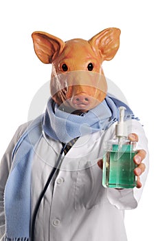 Swine Flu metaphor