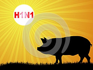 Swine flu virus