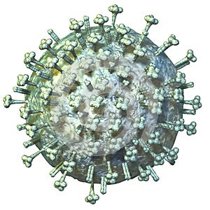 Swine flu virus H1N1 photo