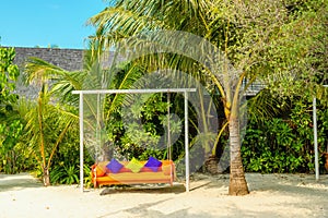 A swing against the backdrop of an exotic palm scenery on one of the Maldivian islands