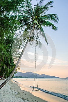 Swing on the beach