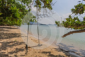 Swing on the beach Samui Thailand
