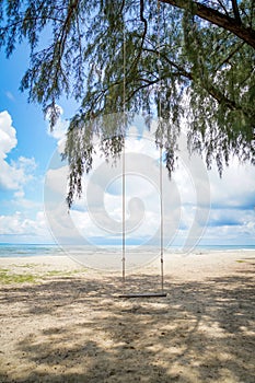 the swing on the beach