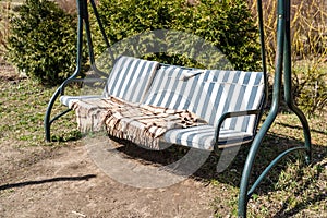 Swing bench in lush garden. Curved swing bench hanging from the bough of a tree in a lush garden with woodland backdrop