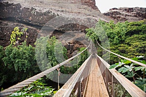 Swing bridge at the Menehune Ditch photo