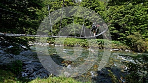 Swing bridge over Lees Creek, Nelson Lakes National Park area, New Zealand