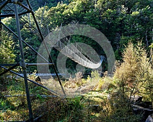 Swing bridge over the Travers River, Nelson Lakes National Park, Aotearoa / New Zealand