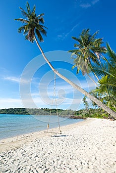 Swing on the cocomu tree at beach