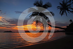 Swing or cradle hang on coconut tree shadow beautiful sunset at koh Mak Island beach Trad Thailand
