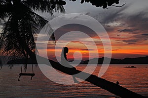 Swing or cradle hang on coconut tree shadow beautiful sunset with relax women girl sit on tree at koh Mak Island beach Trad T