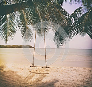 Swing hang from coconut palm tree.