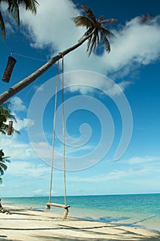 Swing hang from coconut tree over beach,Samui island