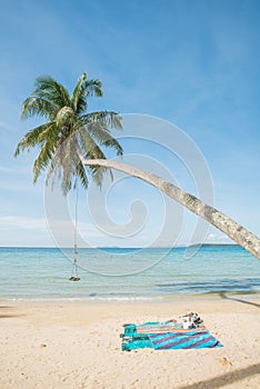 Swing hang from coconut tree over beach sea. Phuket,Thailand