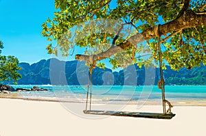 Swing hang from coconut tree over beach, Thailand