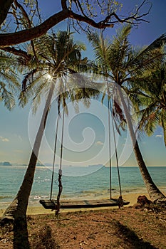 Swing hang from coconut tree over beach. Vacation concept