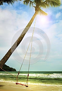 Swing hanging from a palm tree on the beach. Phu Quoc island, Vietnam