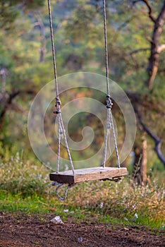 Swing in the Heart of Nature