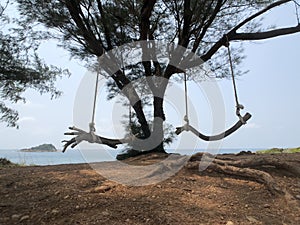 Swing on Koh Samet