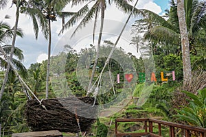 A swing over a high canyon on the cliff in the jungle rainforest of a tropical Tegalalang. Bird`s nest from straw, tourist photo